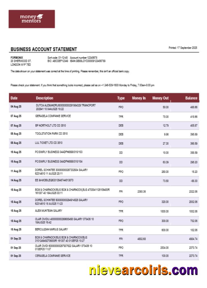 Canadian Money Mentors (MM) business organization checking  statement